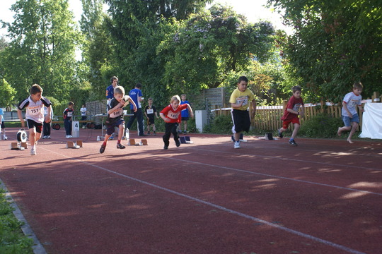 DSC07419.jpg
