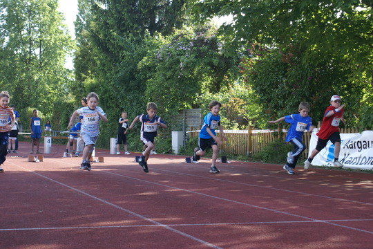 DSC07433.jpg