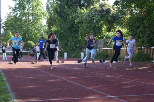 DSC07439.jpg
