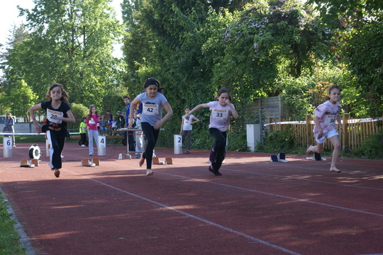DSC07440.jpg