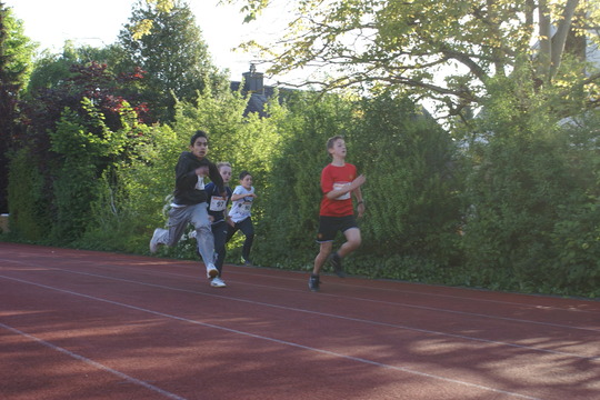 DSC07462.jpg