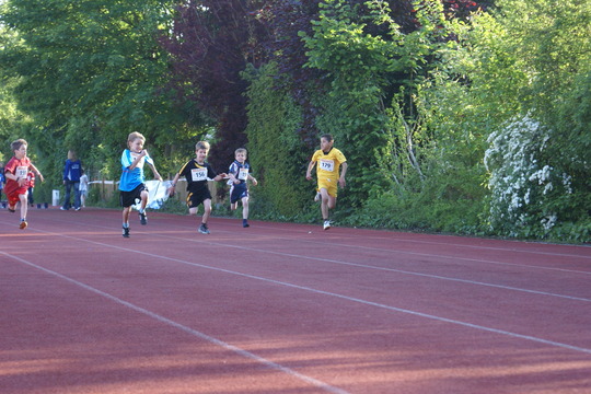 DSC07484.jpg
