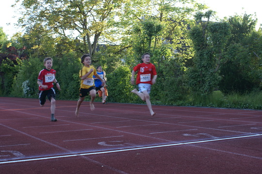 DSC07496.jpg