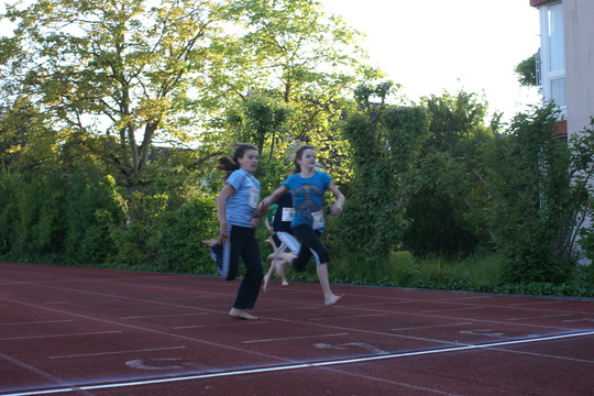DSC07502.jpg