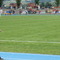 DSC07561.jpg