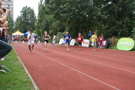 DSC08363.jpg