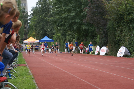 DSC08370.jpg