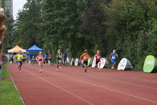 DSC08371.jpg