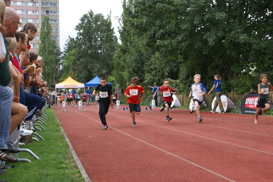 DSC08376.jpg
