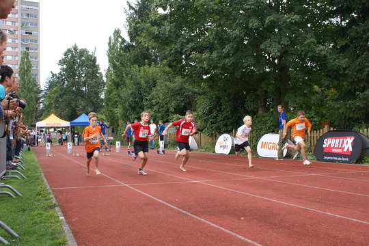 DSC08378.jpg
