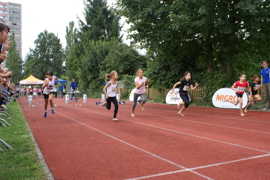 DSC08384.jpg