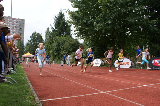 DSC08397.jpg