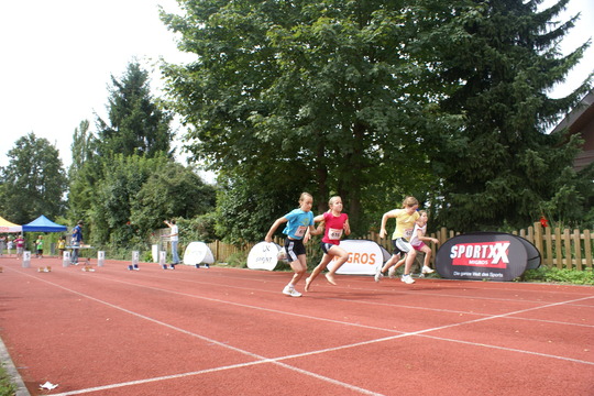 DSC08407.jpg
