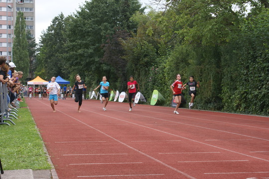 DSC08413.jpg