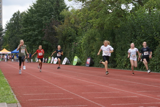 DSC08419.jpg