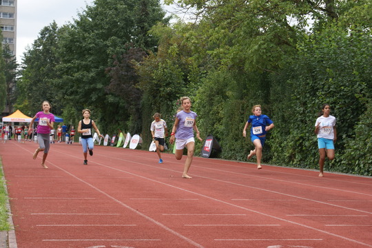 DSC08424.jpg
