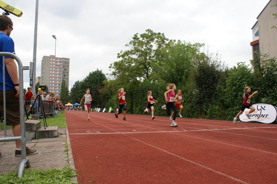 DSC08429.jpg