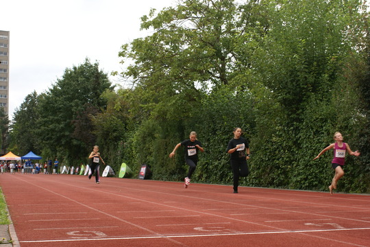 DSC08436.jpg