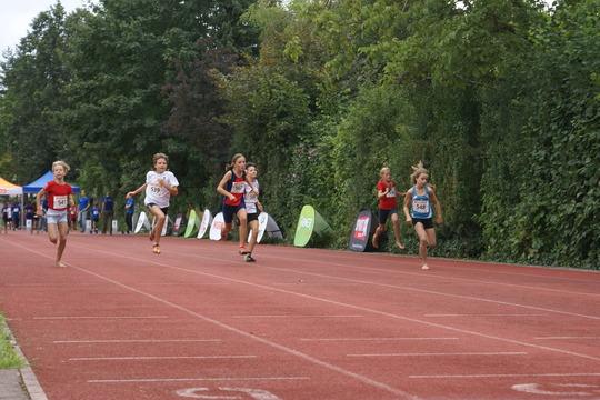 DSC08438.jpg