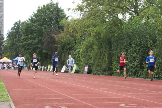 DSC08442.jpg