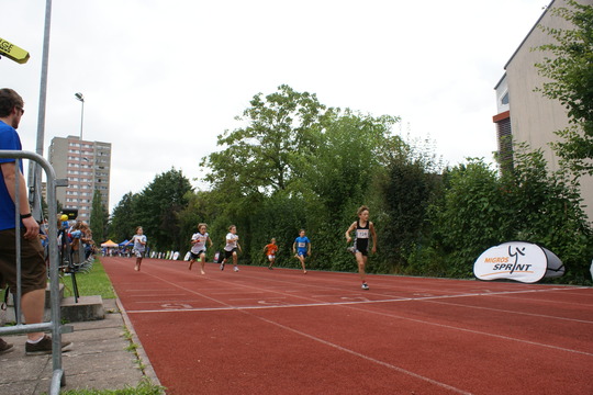 DSC08445.jpg