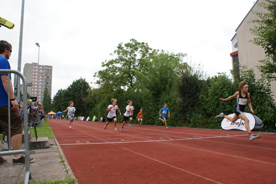 DSC08446.jpg