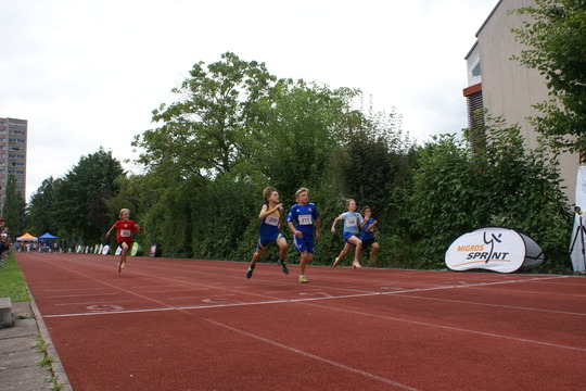 DSC08453.jpg