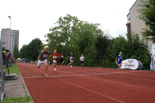DSC08462.jpg
