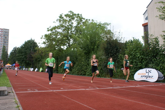 DSC08480.jpg