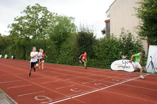 DSC08514.jpg