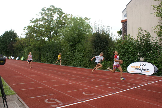 DSC08547.jpg