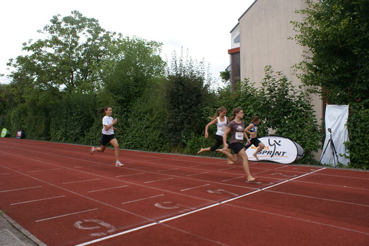 DSC08550.jpg