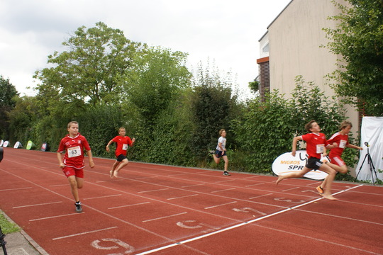 DSC08568.jpg