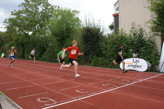 DSC08570.jpg