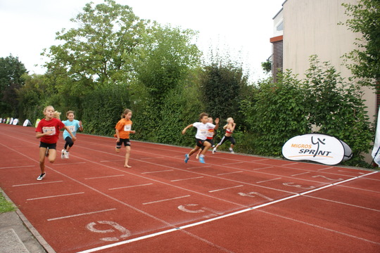 DSC08609.jpg
