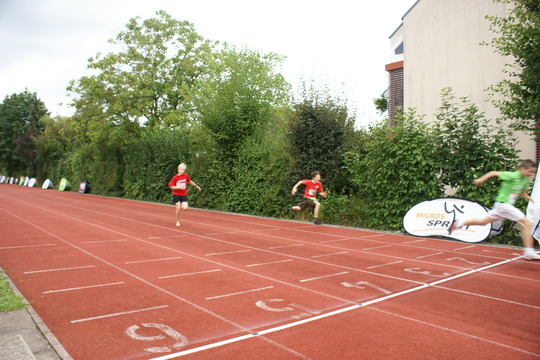 DSC08623.jpg