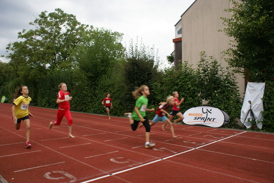 DSC08625.jpg