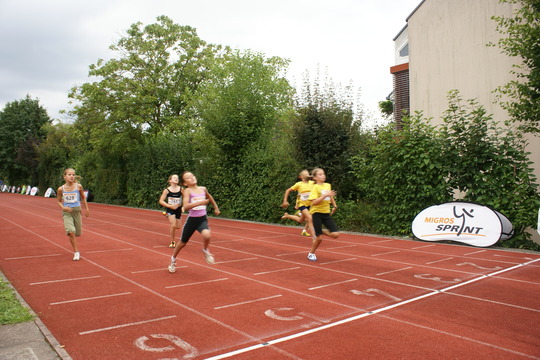 DSC08629.jpg