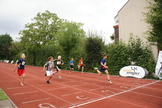 DSC08632.jpg
