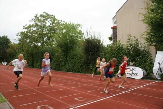 DSC08644.jpg