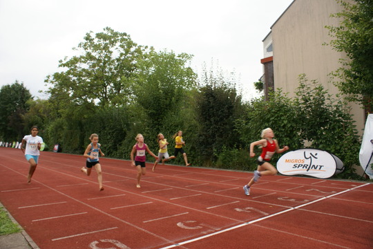 DSC08645.jpg