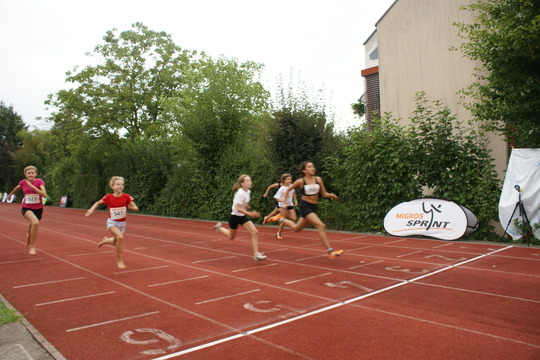 DSC08649.jpg