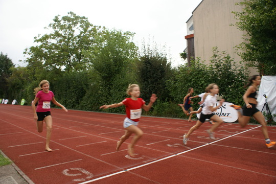 DSC08650.jpg