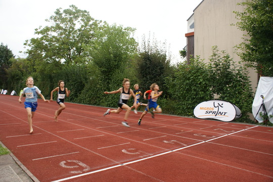 DSC08652.jpg