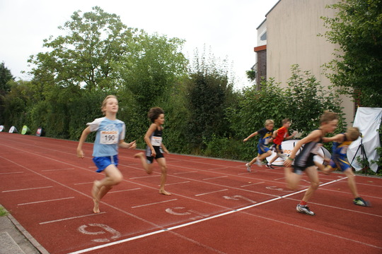 DSC08653.jpg
