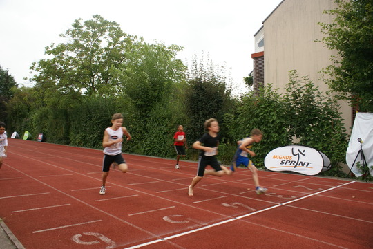 DSC08659.jpg