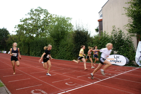 DSC08665.jpg
