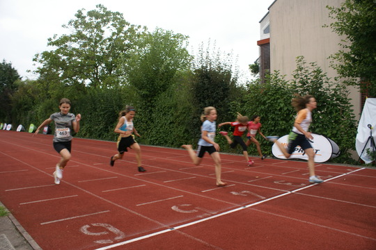 DSC08668.jpg