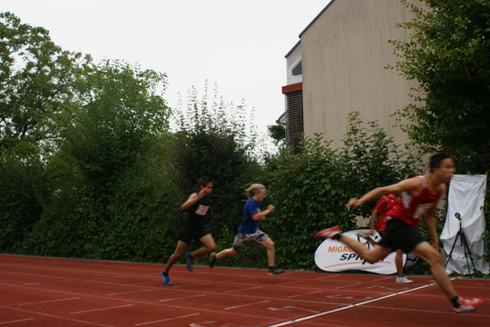 DSC08708.jpg