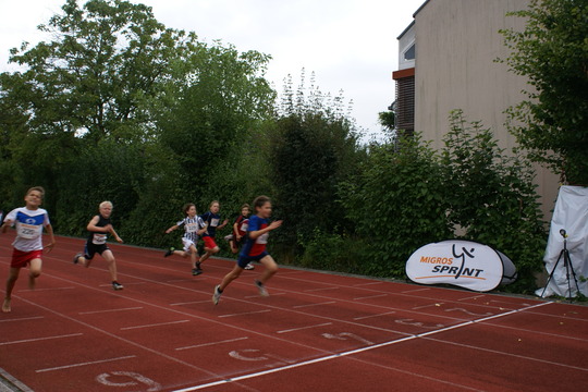 DSC08730.jpg